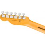 Fender American Professional Telecaster Dark Night Guitarra Eléctrica