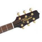 Takamine P5NC Guitarra Electroacústica 