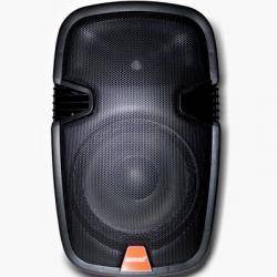 Pro Audio Lexsen Altavoz Bluetooth SPA156UB