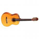 Martinez MCG-20S Guitarra Clasica ( Etiqueta Tatay )
