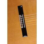 Alhambra Luthier Aniversario Guitarra clásica
