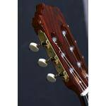 Alhambra Linea Profesional Guitarra clásica