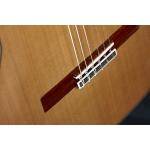Alhambra Linea Profesional Guitarra clásica