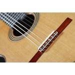Alhambra Linea Profesional Guitarra clásica