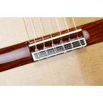 Alhambra Linea Profesional Guitarra clásica