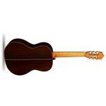Alhambra Linea Profesional Guitarra clásica
