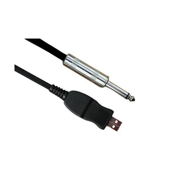 Ashton USBGT Cable Usb-Jack