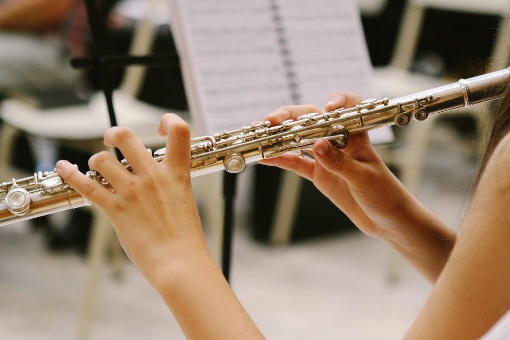 agujero para ver Asistente Estos son los diferentes tipos de flauta | Musicopolix