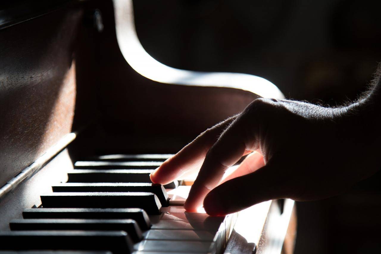 Nombre provisional Cantina preparar Cómo elegir un piano para principiantes? Musicopolix tiene las claves |  Musicopolix