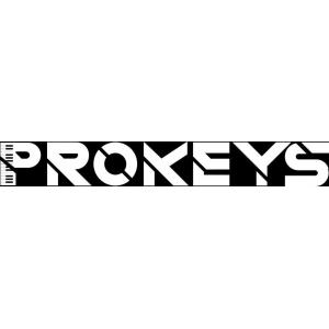 Comprar Teclados Electrónicos Prokeys
