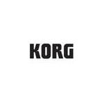 Amplificadores para Teclado Korg