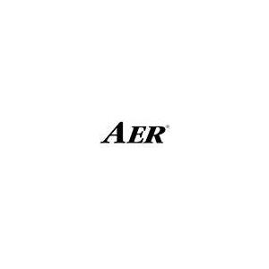 Comprar Amplificadores de Guitarra AER